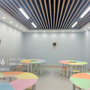 某中小学心理辅导室建设成功案例